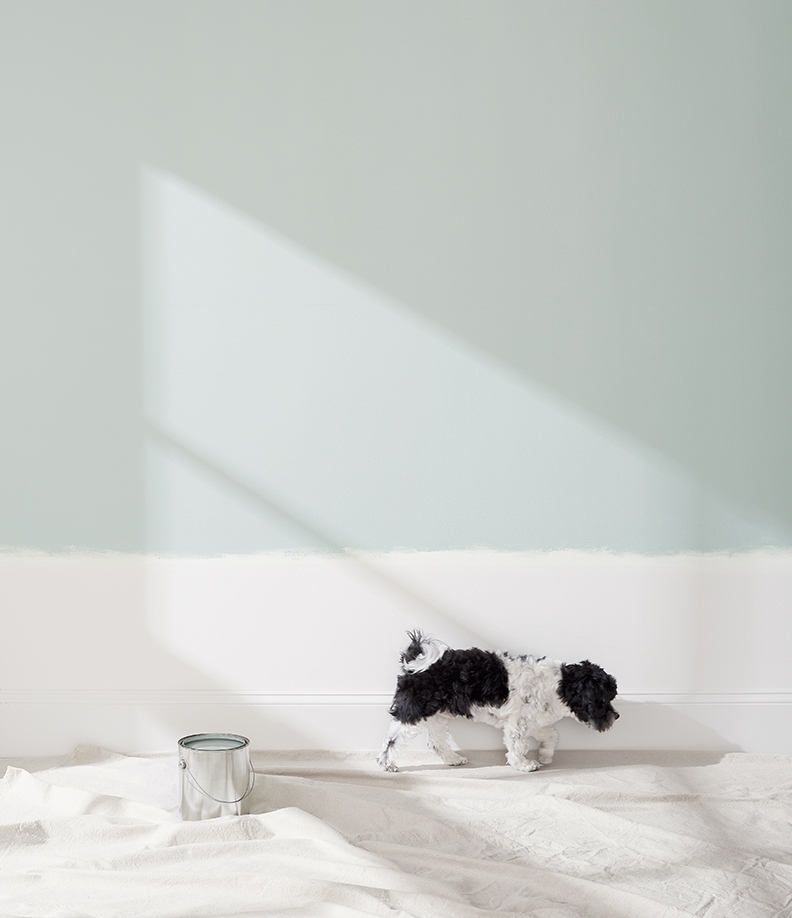 Color by Crate and Barrel